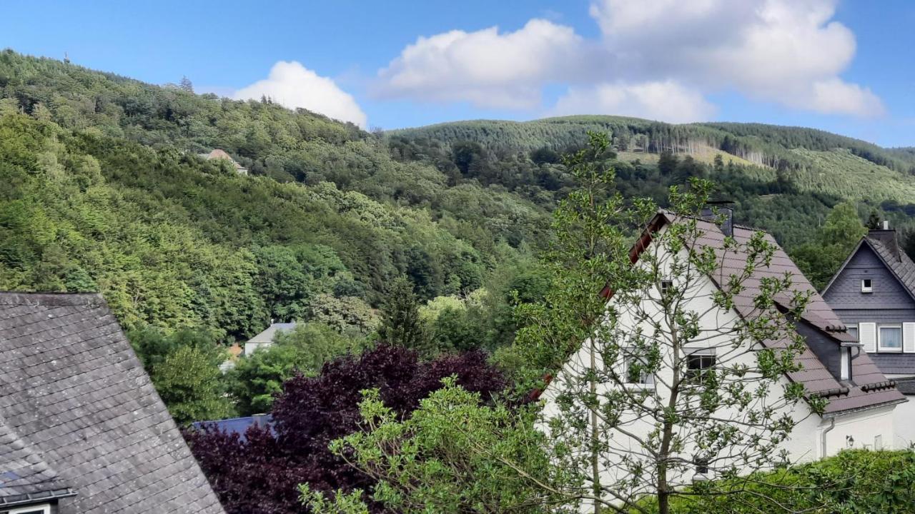 Yalet Ferienhaus 2 Appartementen Vlakbij Willingen Brilon-Wald Esterno foto