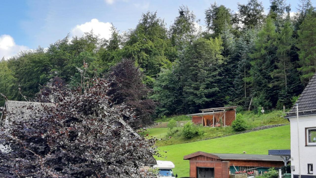 Yalet Ferienhaus 2 Appartementen Vlakbij Willingen Brilon-Wald Esterno foto