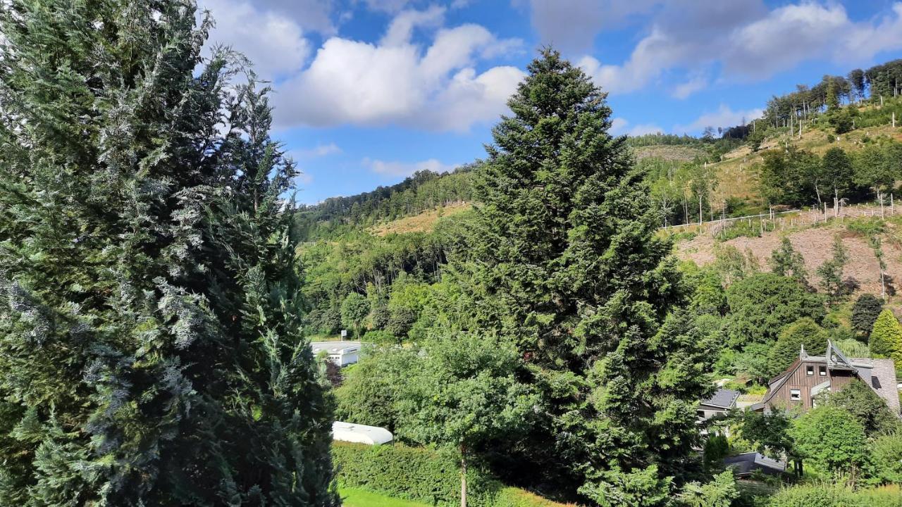 Yalet Ferienhaus 2 Appartementen Vlakbij Willingen Brilon-Wald Esterno foto