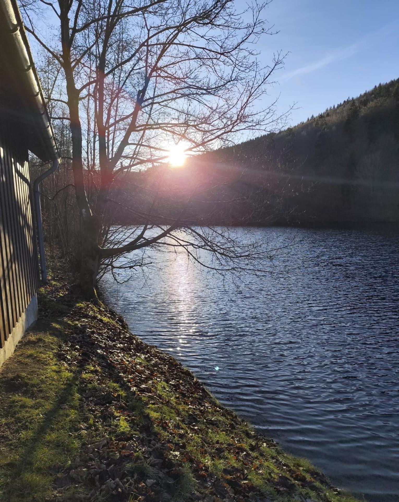 Yalet Ferienhaus 2 Appartementen Vlakbij Willingen Brilon-Wald Esterno foto